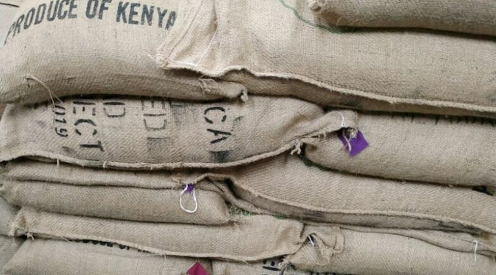 Der Weg der Kaffee-Bohne