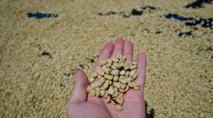 Transparent gehandelter Kaffee