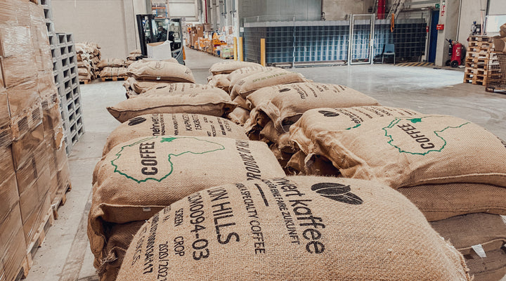 Als die „Tsingtao Express“ unsere Bohnen brachte