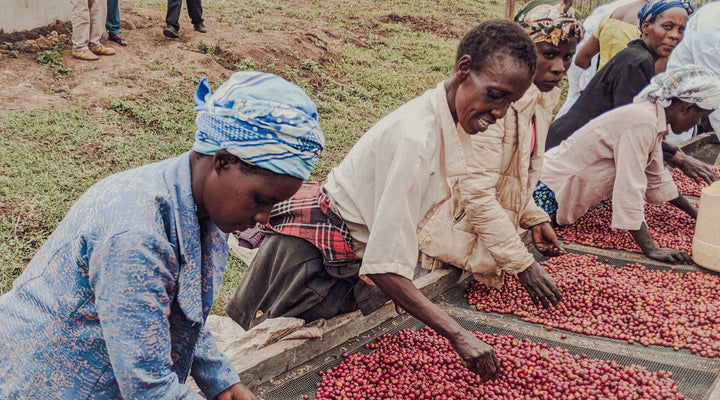 Was für uns fairer Kaffeehandel bedeutet